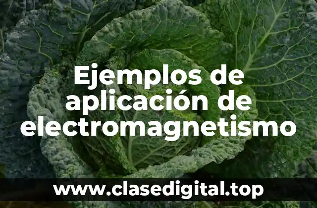Ejemplos de aplicación de electromagnetismo