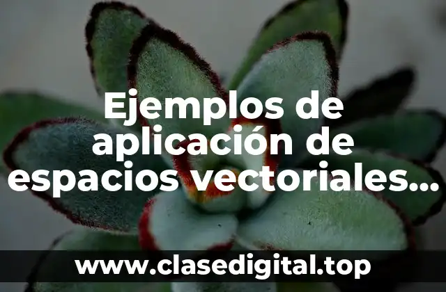 Ejemplos de aplicación de espacios vectoriales