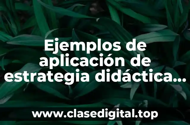 Ejemplos de aplicación de estrategia didáctica de círculo mágico