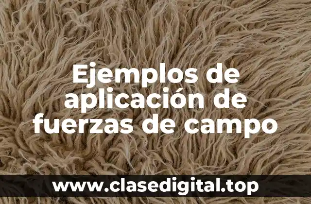 Ejemplos de aplicación de fuerzas de campo