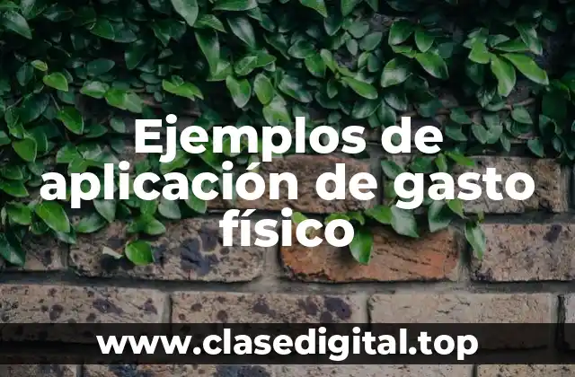 Ejemplos de aplicación de gasto físico
