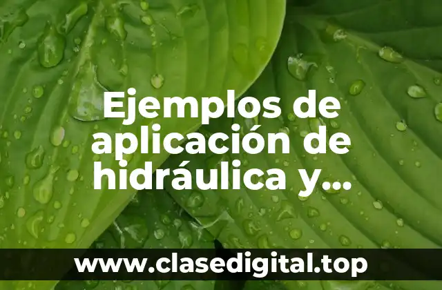 Ejemplos de aplicación de hidráulica y Significado