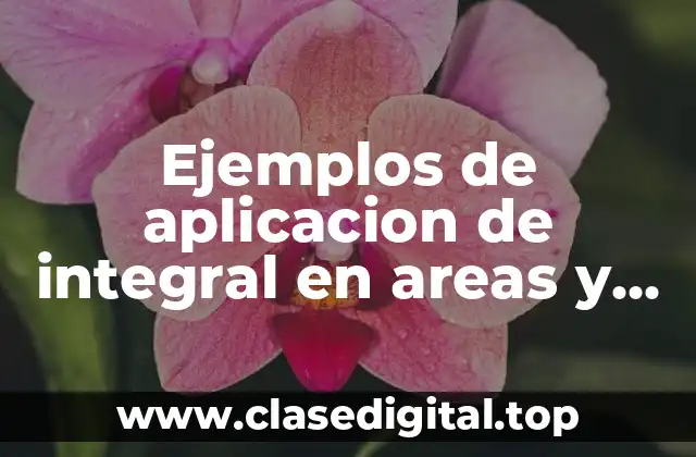 Ejemplos de aplicacion de integral en areas y volumenes