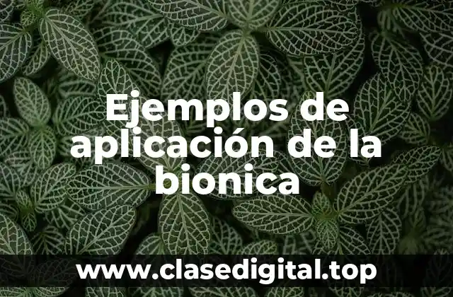 Ejemplos de aplicación de la bionica