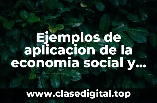 Ejemplos de aplicación de la economía social y científica