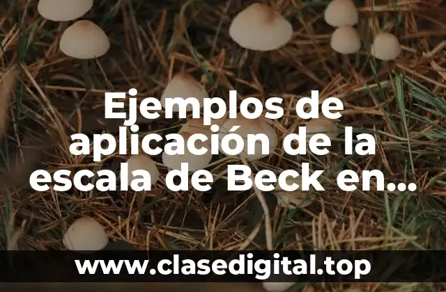 Ejemplos de aplicación de la escala de Beck en enfermeras y Significado