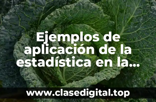 Ejemplos de aplicación de la estadística en la física y Significado