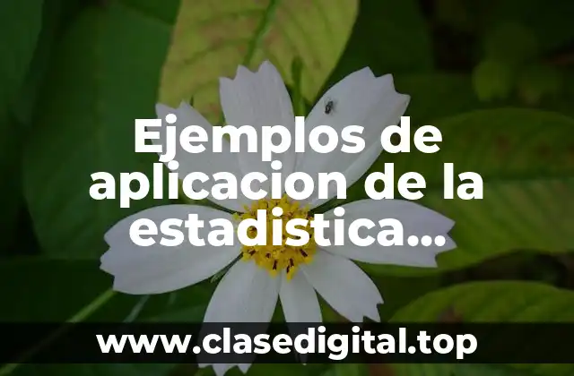 Ejemplos de aplicacion de la estadistica inferencial resueltos