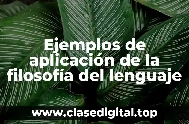 Ejemplos de aplicación de la filosofía del lenguaje