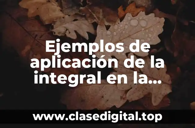 Ejemplos de aplicación de la integral en la economía