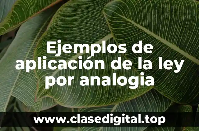 Ejemplos de aplicación de la ley por analogia