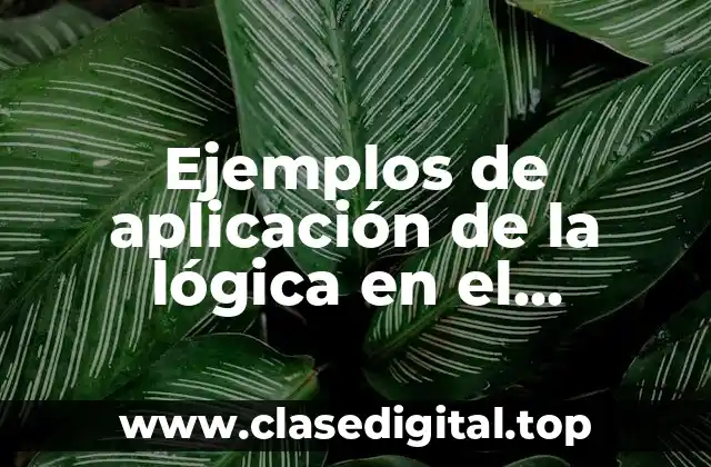 Ejemplos de aplicación de la lógica en el razonamiento