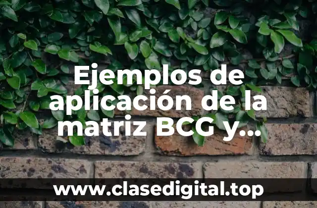 Ejemplos de aplicación de la matriz BCG y Significado