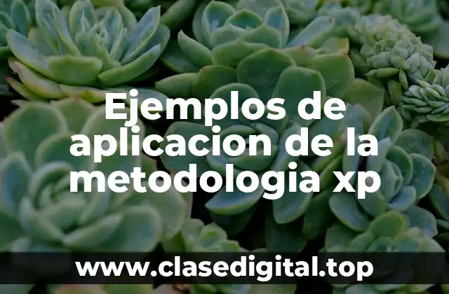 Ejemplos de aplicacion de la metodologia xp