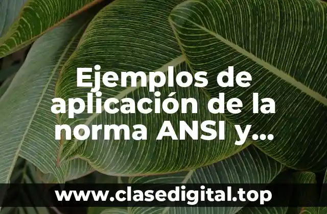 Ejemplos de aplicación de la norma ANSI y Significado