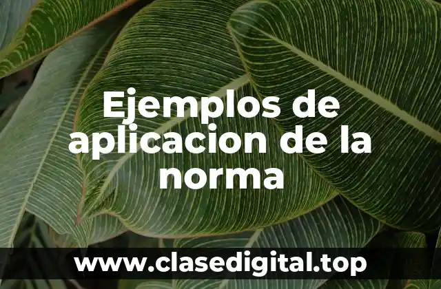 Ejemplos de aplicacion de la norma