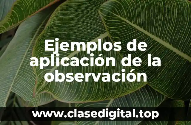 Ejemplos de aplicación de la observación