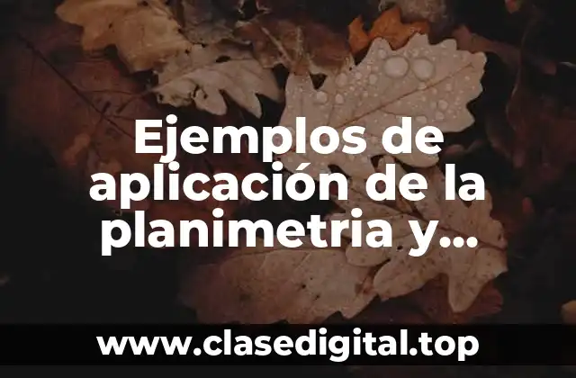 Ejemplos de aplicación de la planimetria y Significado