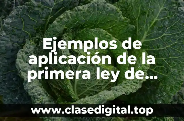 Ejemplos de aplicación de la primera ley de termodinamica y Significado