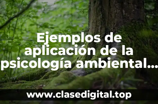 Ejemplos de aplicación de la psicología ambiental y Significado