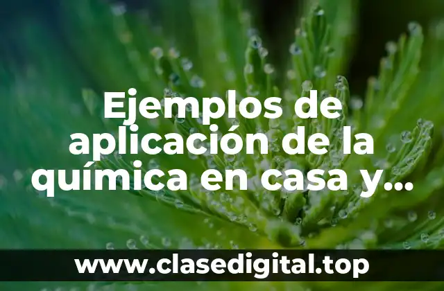 Ejemplos de aplicación de la química en casa y Significado