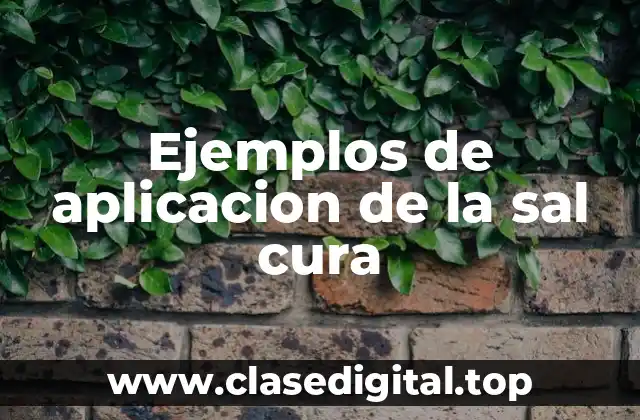 Ejemplos de aplicacion de la sal cura