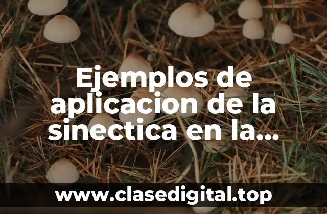 Ejemplos de aplicacion de la sinectica en la escuela