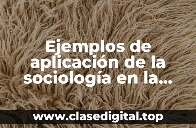 Ejemplos de aplicación de la sociología en la administración y Significado