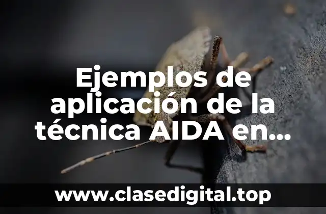 Ejemplos de aplicación de la técnica AIDA en marketing