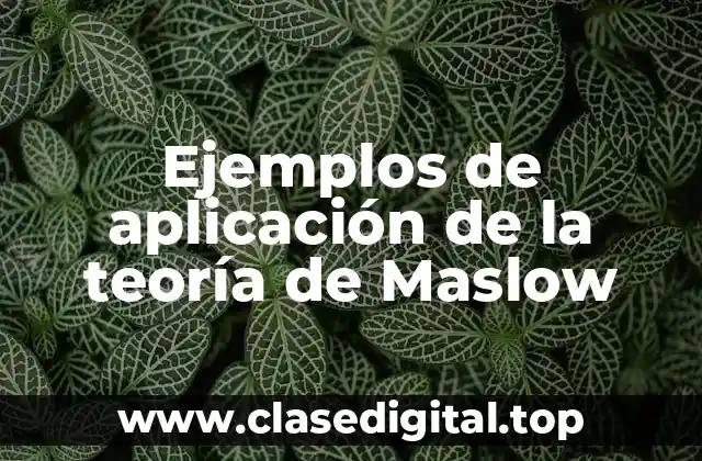 Ejemplos de aplicación de la teoría de Maslow