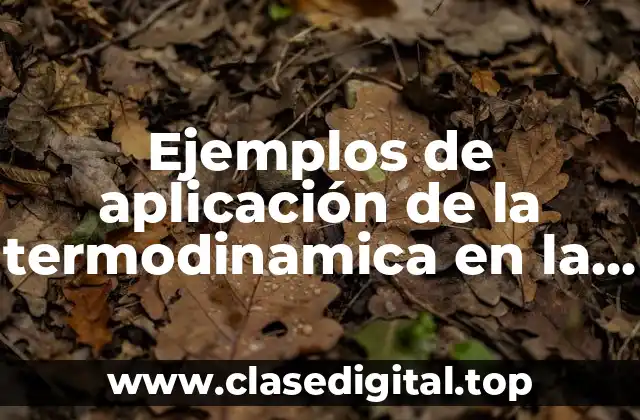 Ejemplos de aplicación de la termodinamica en la vida cotidiana