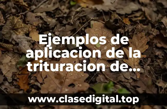 Ejemplos de aplicacion de la trituracion de minerales