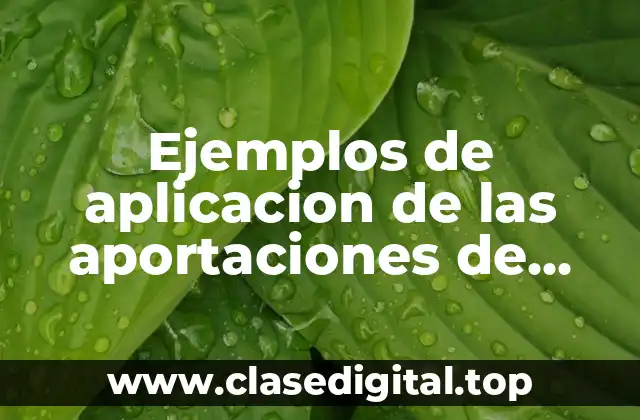 Ejemplos de aplicacion de las aportaciones de Ishikawa y Significado