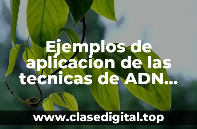 Ejemplos de aplicacion de las tecnicas de ADN recombinante y Significado
