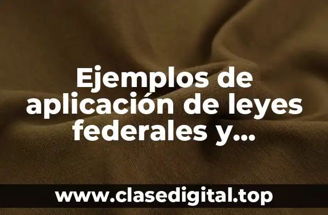 Ejemplos de aplicación de leyes federales y Significado