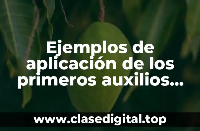 Ejemplos de aplicación de los primeros auxilios psicológicos y Significado