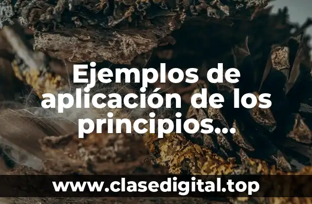 Ejemplos de aplicación de los principios metodológicos de la geografía