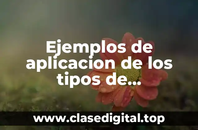 Ejemplos de aplicacion de los tipos de investigacion social