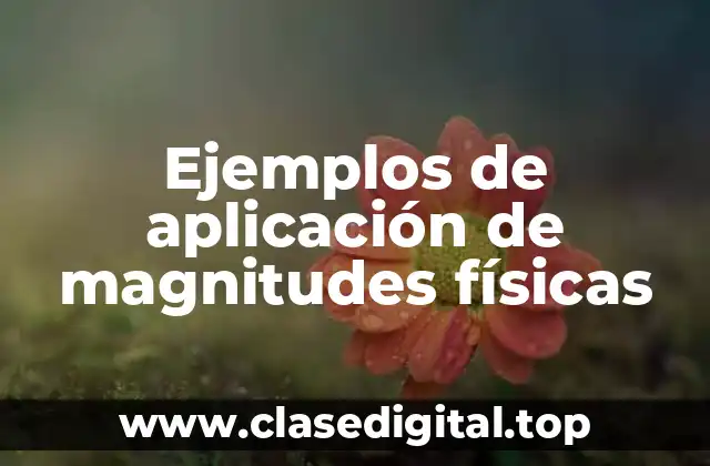 Ejemplos de aplicación de magnitudes físicas
