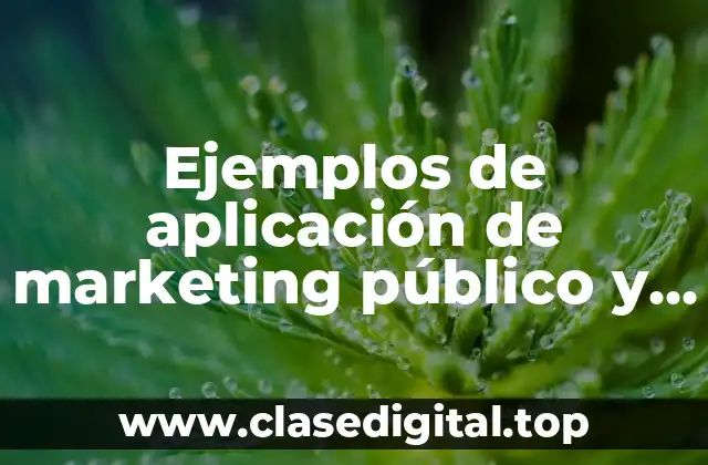 Ejemplos de aplicación de marketing público