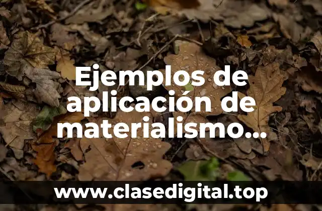 Ejemplos de aplicación de materialismo dialectico en la sociedad