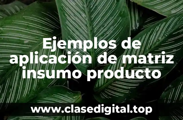 Ejemplos de aplicación de matriz insumo producto