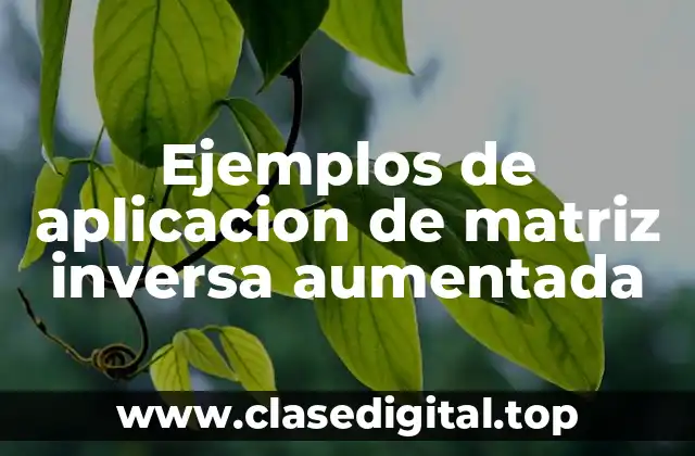 Ejemplos de aplicacion de matriz inversa aumentada