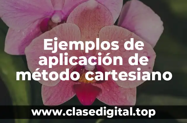 Ejemplos de aplicación del método cartesiano