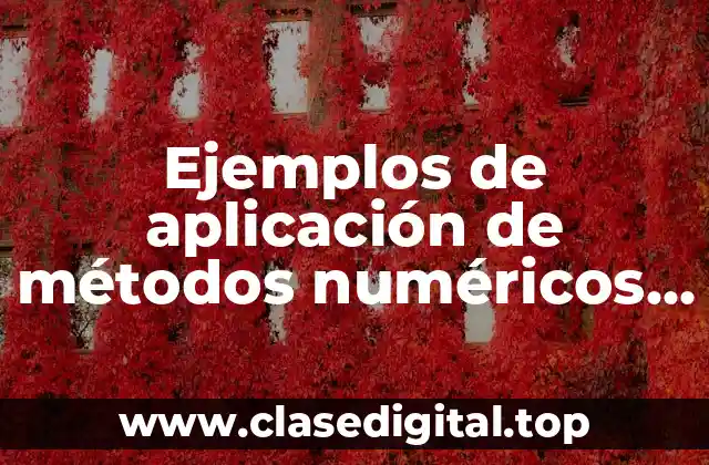 Ejemplos de aplicación de métodos numéricos y Significado