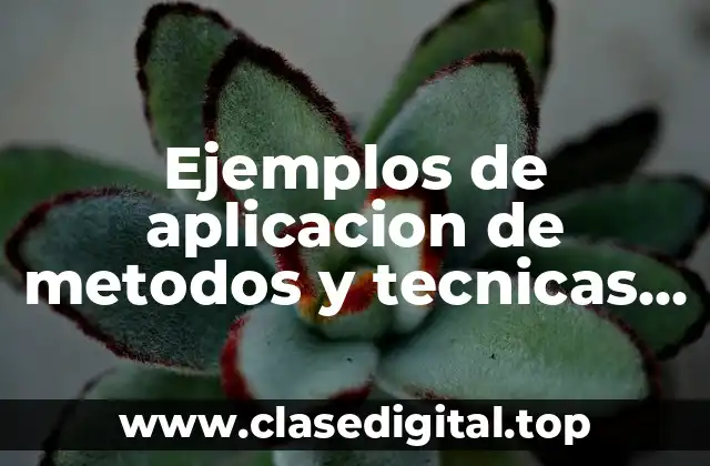 Ejemplos de aplicacion de metodos y tecnicas de aprendizaje