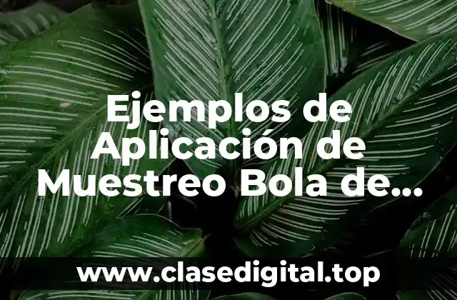 Ejemplos de Aplicación de Muestreo Bola de Nieve