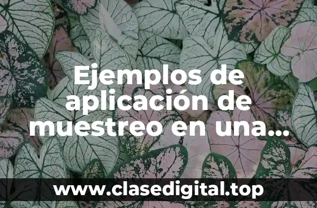 Ejemplos de aplicación de muestreo en una investigación social