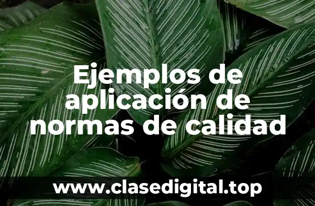 Ejemplos de aplicación de normas de calidad