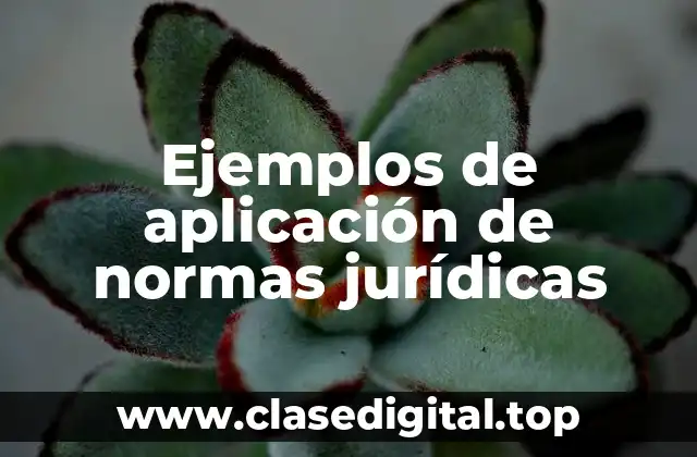 Ejemplos de aplicación de normas jurídicas